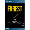 The Forest Steam